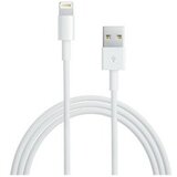Apple Lightning–USB konvertor kabel (0,5m) (me291zm/a) | Shoptok.si