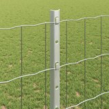  Zavarena žičana ograda 25 x 1,2 m (Š x V) Vruće pocinčani čelik | shoptok.hr