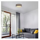 Rabalux plafonjera Otilia siva | Eponuda.com