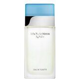 Dolce & Gabbana Light Blue Toaletna voda za ženske 25 ml | Shoptok.si