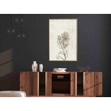  Poster - Life of Plants 20x30 | shoptok.hr