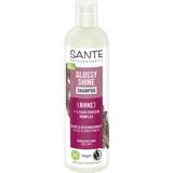 Sante Glossy Shine Shampoo - 250 ml