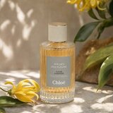 Chloé Atelier Des Fleurs Ylang Cananga parfumirana voda unisex 150 ml | Shoptok.si