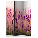 Artgeist PARAVAN 135/172/3 cm vijolična, svetlo zelena, biserna u