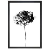 Tablo Center Slika Velvet Flower, 24 x 29 cm Cene