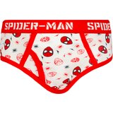 Licensed Boy's briefs Spiderman 5 Pack - Frogies | Eponuda.ba