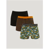 LC Waikiki Boxer Shorts - Multicolor - 3-pack