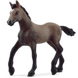  Horse Club Paso Peruano Fohlen 13954 Cijene