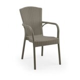 Tilia stolica Royal Mink | ePonuda.com