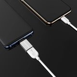 Borofone ADAPTER BV3 OTG - USB V TYPE C | Shoptok.si