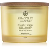 Chesapeake Bay Candle Mind & Body Strength & Energy mirisna svijeća I. 312 g Cijene