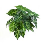 Floraworld Veštački žbun Filodendron | Eponuda.com