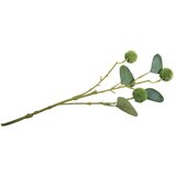 RAYHER Vejica Eukaliptus s sadeži, 40cm, (20634023) Cene