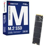Biostar 256GB SSD M.2, NVMe PCI-E Gen3x 4, 2280 M.2, R/W: 2800 MB/s 1150 MB/s | Eponuda.ba