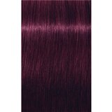 Schwarzkopf IGORA Royal boja za kosu nijansa 6-99 Dark Blonde Violet Extra 60 ml | shoptok.hr