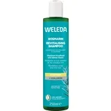 Revitalizacijski šampon z rožmarinom - 250 ml