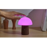 Gingko Bijela/u tamnoj prirodnoj boji LED stolna lampa (visina 12,5 cm) Alice Mushroom – | shoptok.hr
