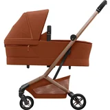 CABIN COT COPPER TERRA