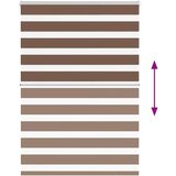 vidaXL Zebra senčilo rjave 100x150 cm tkanina širina 95,9cm poliester | Shoptok.si