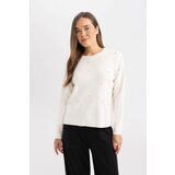 Defacto Regular Fit Crew Neck Sweater | Shoptok.si
