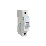 HAGER automatski osigurač 50A-1P MB150A | Eponuda.ba