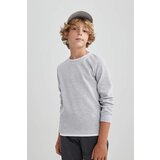 Defacto Regular Fit Long Sleeve T-Shirt | shoptok.hr