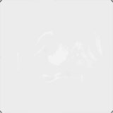  Pokrov za biljke *Transparent*an 2 x 2 m PVC | shoptok.hr