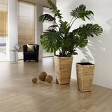 Landscape CVETLIČNI LONEC | Shoptok.si