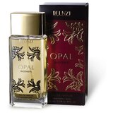 Opal 100 ml. Ženski EDP | Shoptok.si