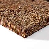  Slika - Feather on the Sand (1 Part) Vertical 40x60 | shoptok.hr