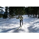 Husky Men's outdoor pants Kixees M dark khaki | Shoptok.si