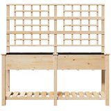 vidaXL Vrtna korita s trelisa in polico 161x43x152 cm Trden bor, (22010916) | Shoptok.si
