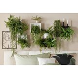 Mömax set stenskih regalov kalisi -sb-, bela, 3-Delni set | Shoptok.si