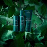 Aveda Botanical Repair™ Pre-Shampoo nega pred šamponiranjem za poškodovane lase 150 ml | Shoptok.si