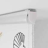 vidaXL rolo zavesa za prho s kaseto 90x240 cm širina tkanine 86 cm | Shoptok.si