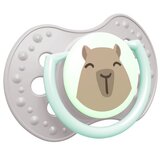 Lovi CAPICHILL 6-18m duda Boy 2 kos | Shoptok.si