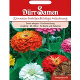 Dürr Samen cinije - dalijam podobni cvetovi | Shoptok.si