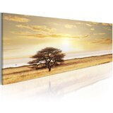  Slika - Lonely tree on savannah 135x45 | shoptok.hr