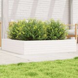  Vrtno cvetlično korito belo 110x110x23 cm trdna borovina | Shoptok.si