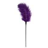 Easytoys Fetish Collection Purple Feather Tickler Cene