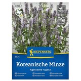 KIEPENKERL Zeliščna semena Korejska meta Seoul (Agastache rugosa, Čas setve: Marec, Čas žetve: Julij) Cene