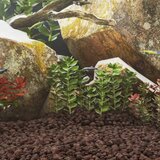 vidaXL Vulkanski kamen 25 kg rdeč 3-5 mm | Shoptok.si