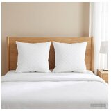 vidaXL Jastuk FULDA 2 kom. 80 x 80 cm 100% gusja dol i perje Bijela - 80 x 80 cm 2 Cijene