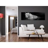  Slika - Shining Tiger (1 Part) Black and White Narrow 120x40 | shoptok.hr