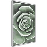  Poster - Robust Plant 30x45 | shoptok.hr