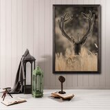 Wallity slika stag, 50 x 70 cm Cene