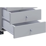 P & B PREDALNIK NA KOLESCIH siva | Shoptok.si