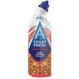 Astonish Gel čistač sanitarija Winter Spice | Eponuda.com