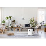 BONECO H320 zracni procišcivac/ zraka za | shoptok.hr
