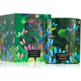 Vila Hermanos Jungletopia Blue Butterfly dišeča sveča 200 g | Shoptok.si